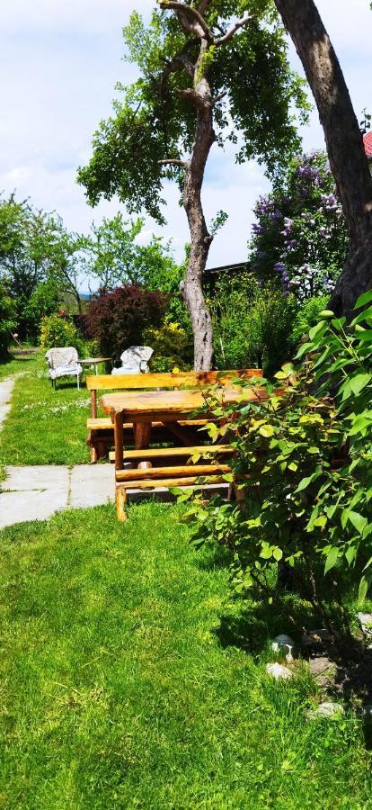 Casa Din Coltul Cetatii Villa Hărman Eksteriør billede