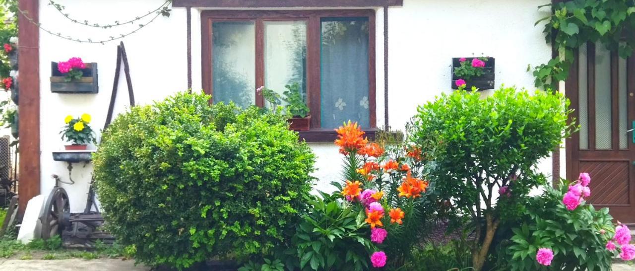 Casa Din Coltul Cetatii Villa Hărman Eksteriør billede